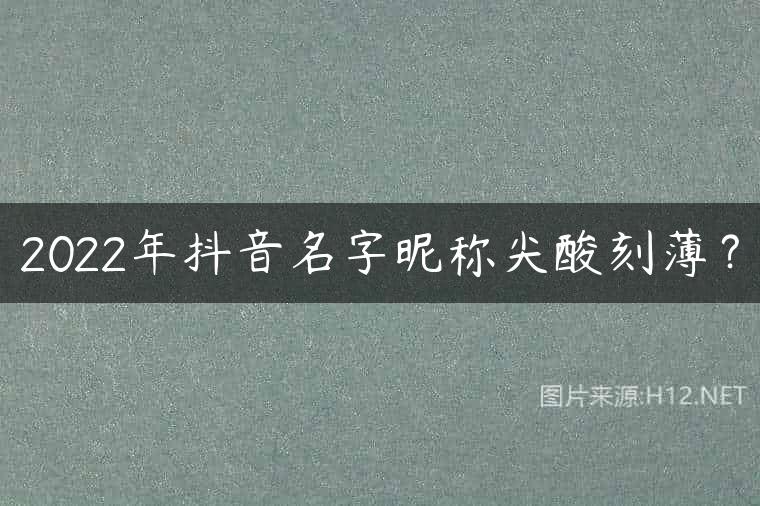 2022年抖音名字昵称尖酸刻薄？