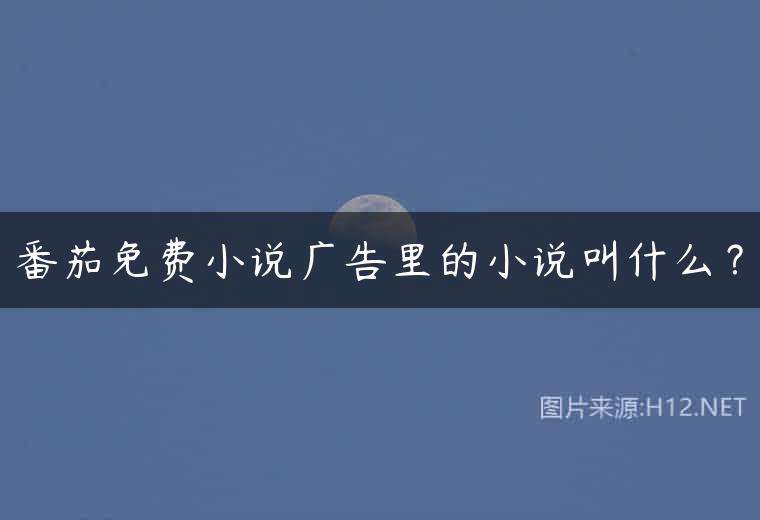 番茄免费小说广告里的小说叫什么？