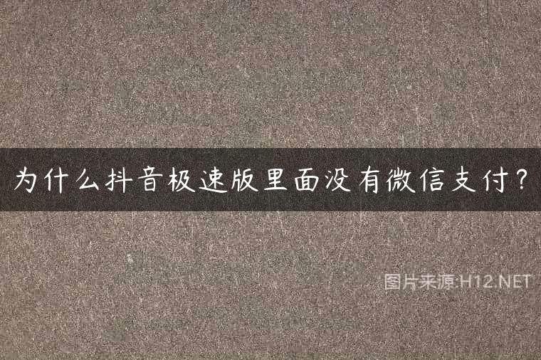 为什么抖音极速版里面没有微信支付？