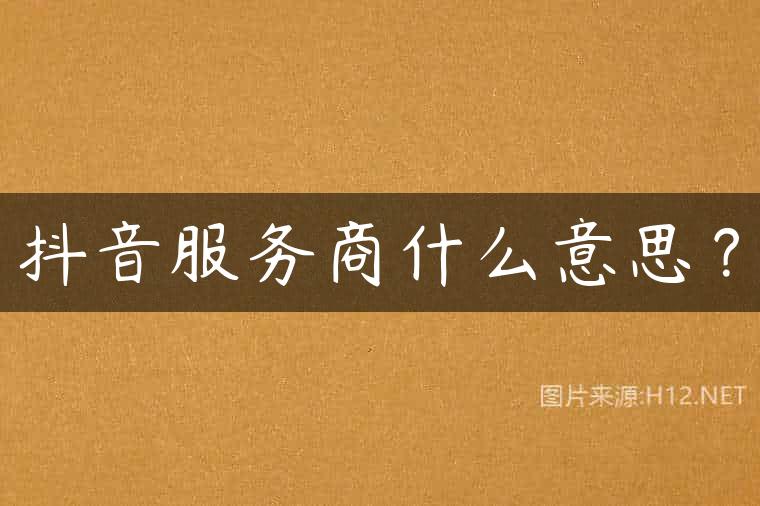 抖音服务商什么意思？