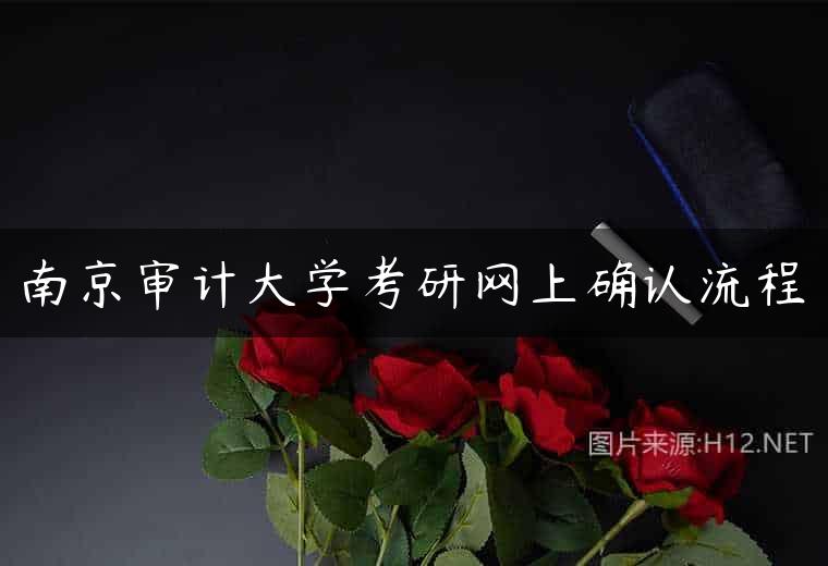 南京审计大学考研网上确认流程