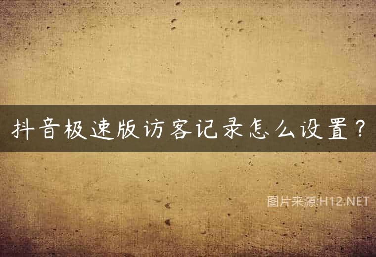 抖音极速版访客记录怎么设置？