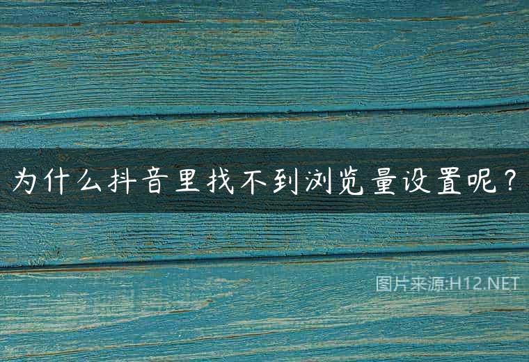 为什么抖音里找不到浏览量设置呢？