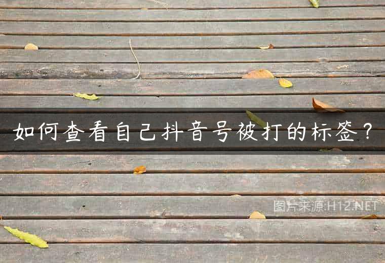 如何查看自己抖音号被打的标签？
