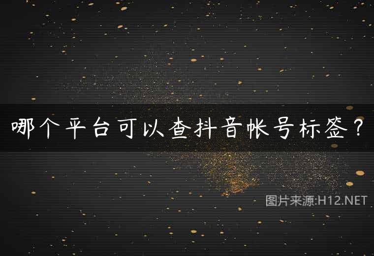 哪个平台可以查抖音帐号标签？
