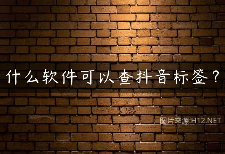 什么软件可以查抖音标签？