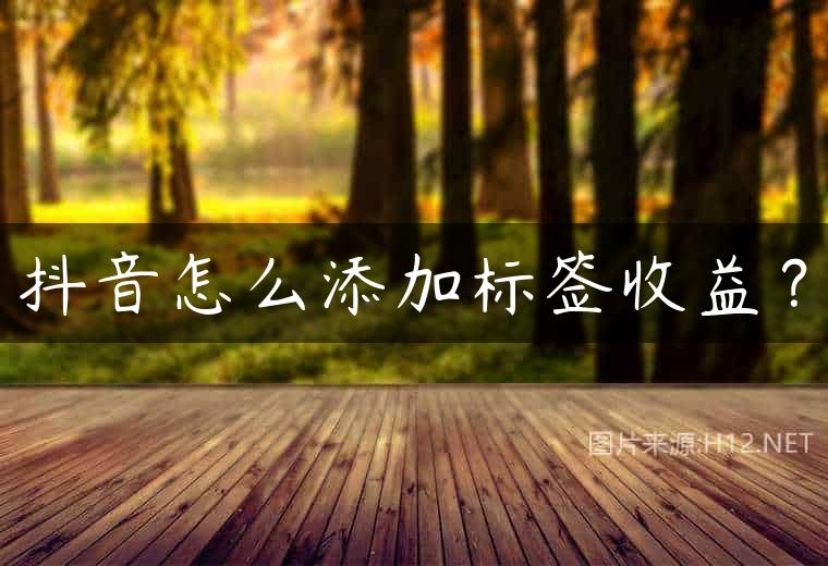 抖音怎么添加标签收益？