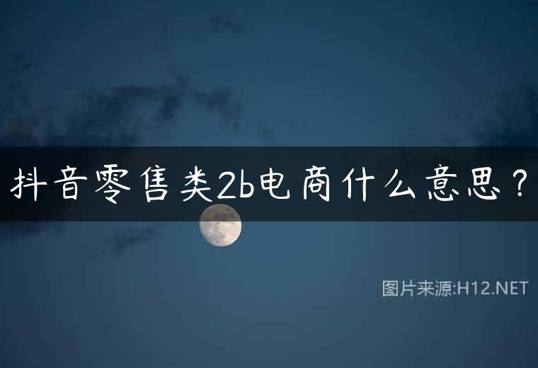 抖音零售类2b电商什么意思？