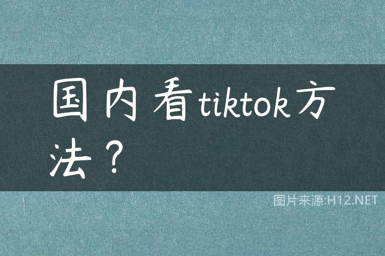 国内看tiktok方法？