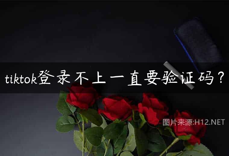 tiktok登录不上一直要验证码？