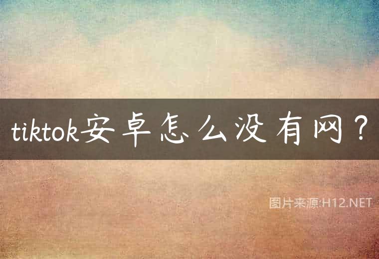 tiktok安卓怎么没有网？