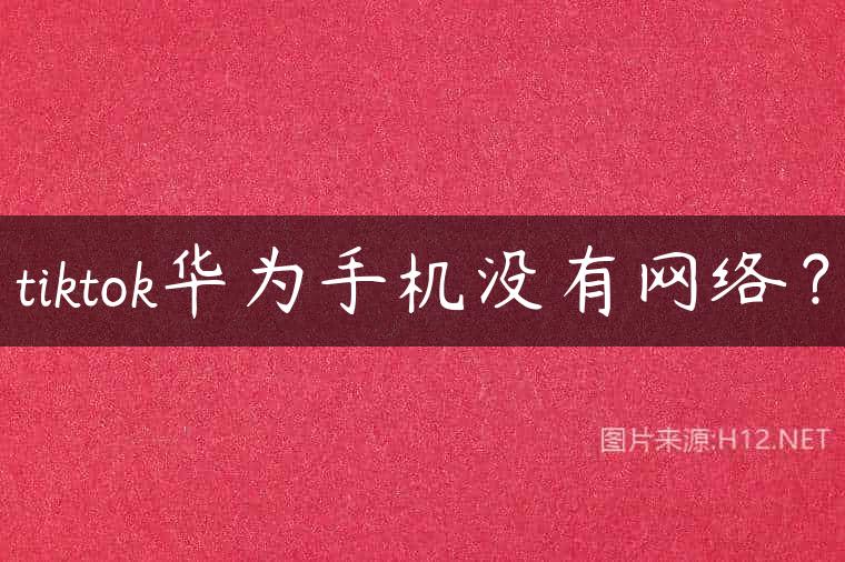 tiktok华为手机没有网络？