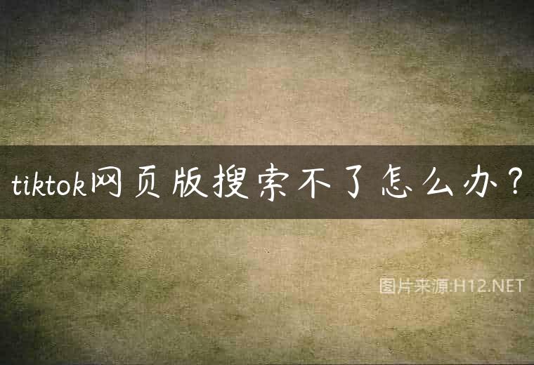 tiktok网页版搜索不了怎么办？