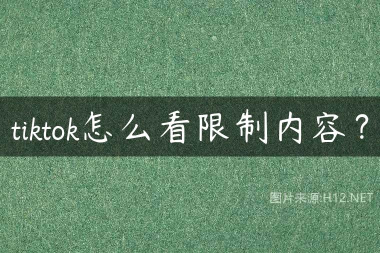 tiktok怎么看限制内容？