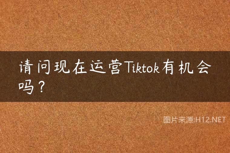 请问现在运营Tiktok有机会吗？