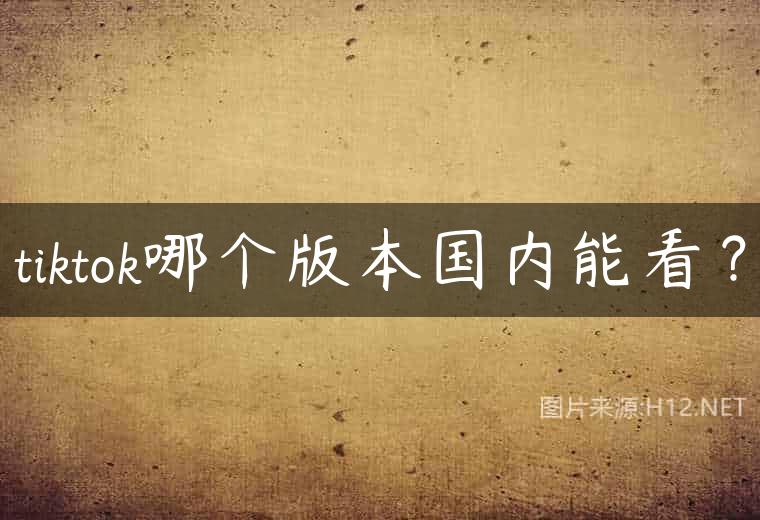 tiktok哪个版本国内能看？