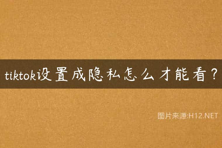 tiktok设置成隐私怎么才能看？