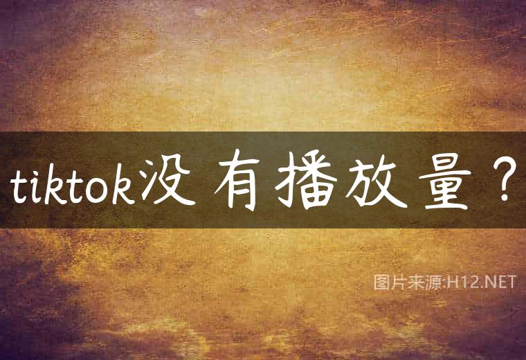 tiktok没有播放量？
