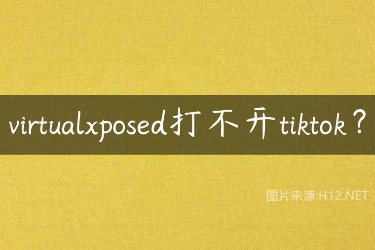 virtualxposed打不开tiktok？