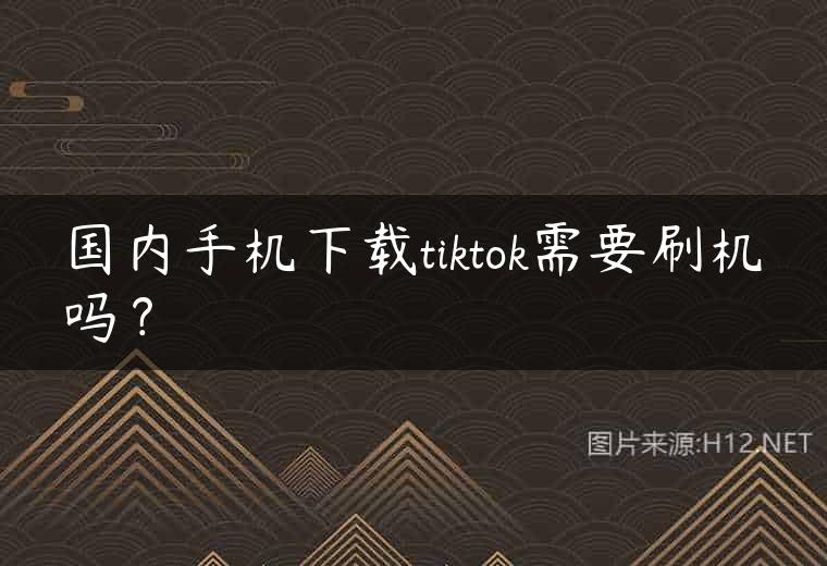 国内手机下载tiktok需要刷机吗？
