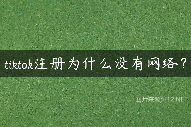 tiktok注册为什么没有网络？