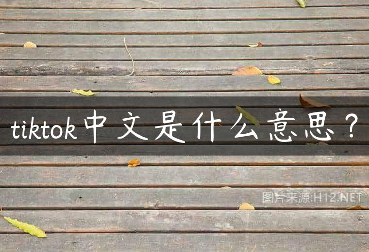tiktok中文是什么意思？
