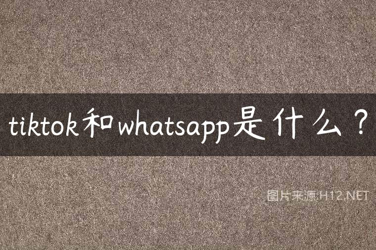 tiktok和whatsapp是什么？