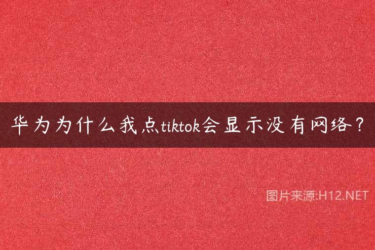 华为为什么我点tiktok会显示没有网络？