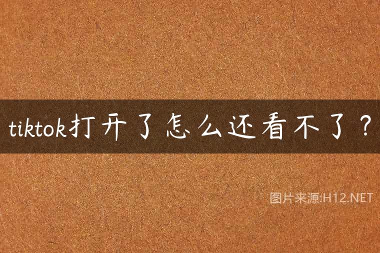 tiktok打开了怎么还看不了？