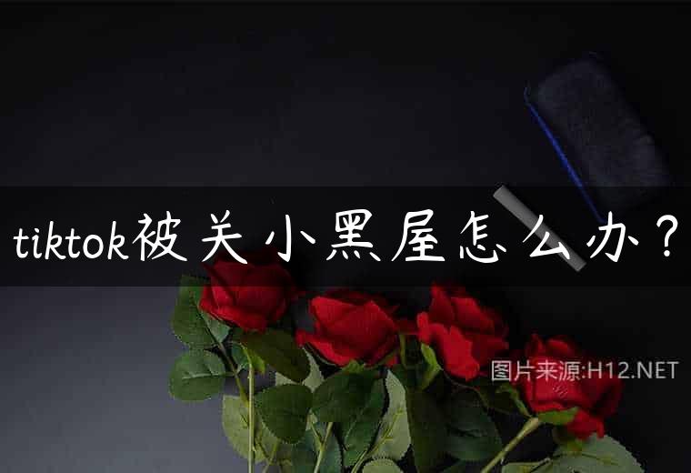 tiktok被关小黑屋怎么办？