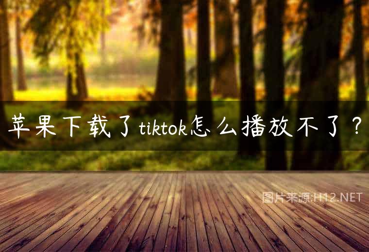 苹果下载了tiktok怎么播放不了？