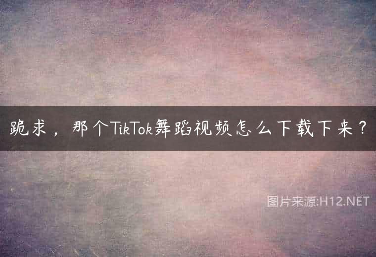 跪求，那个TikTok舞蹈视频怎么下载下来？