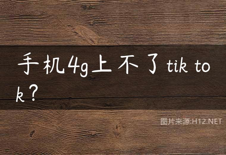 手机4g上不了tik tok？