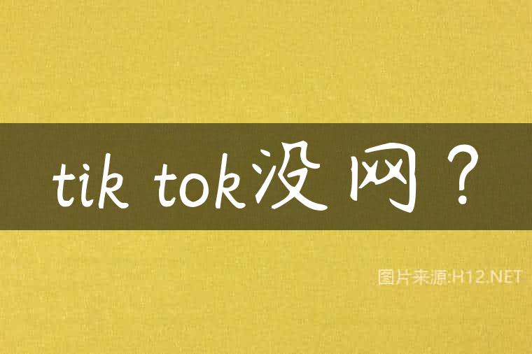 tik tok没网？