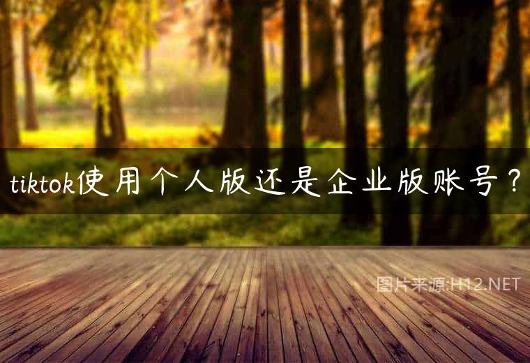 tiktok使用个人版还是企业版账号？