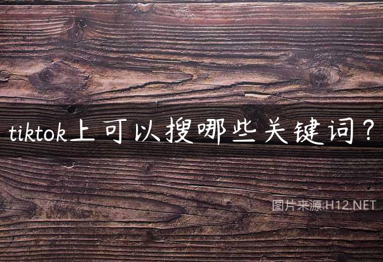 tiktok上可以搜哪些关键词？