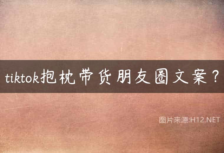 tiktok抱枕带货朋友圈文案？