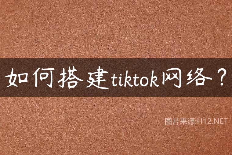 如何搭建tiktok网络？