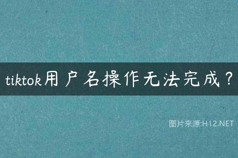 tiktok用户名操作无法完成？