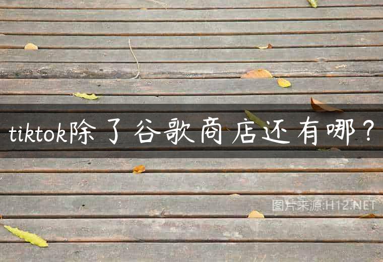 tiktok除了谷歌商店还有哪？