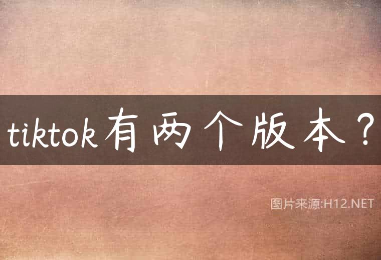tiktok有两个版本？