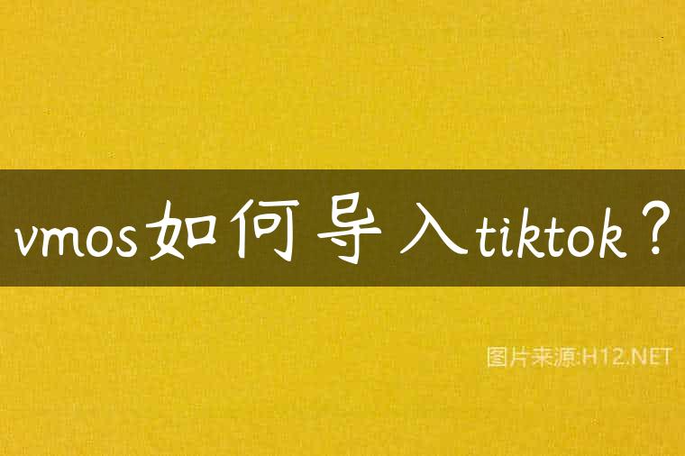vmos如何导入tiktok？