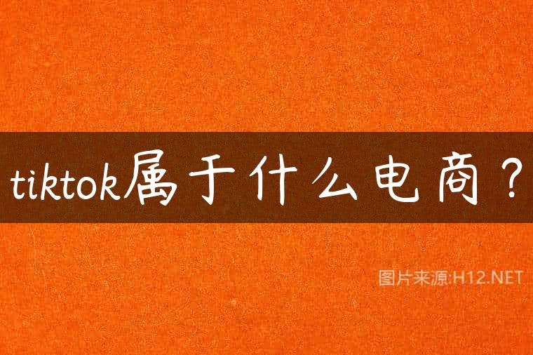 tiktok属于什么电商？