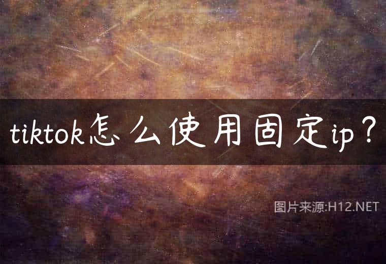 tiktok怎么使用固定ip？