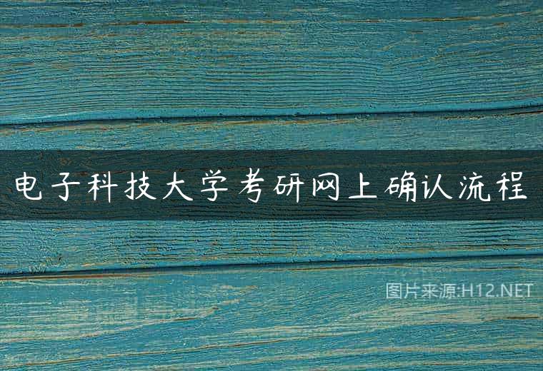 电子科技大学考研网上确认流程