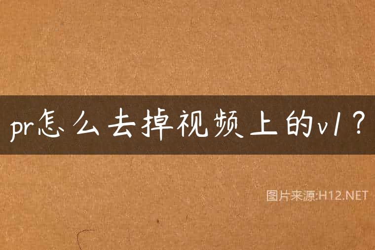 pr怎么去掉视频上的v1？