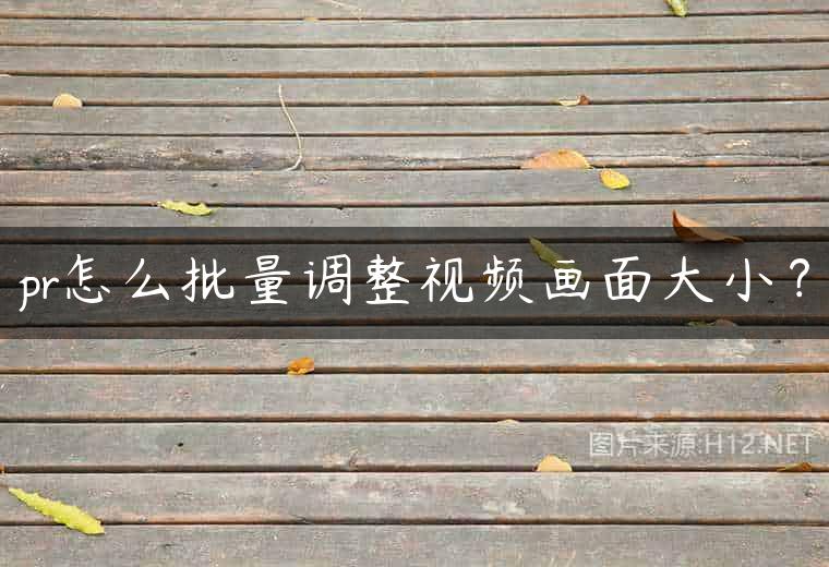 pr怎么批量调整视频画面大小？