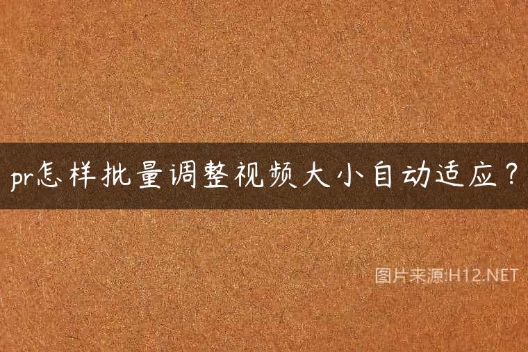 pr怎样批量调整视频大小自动适应？