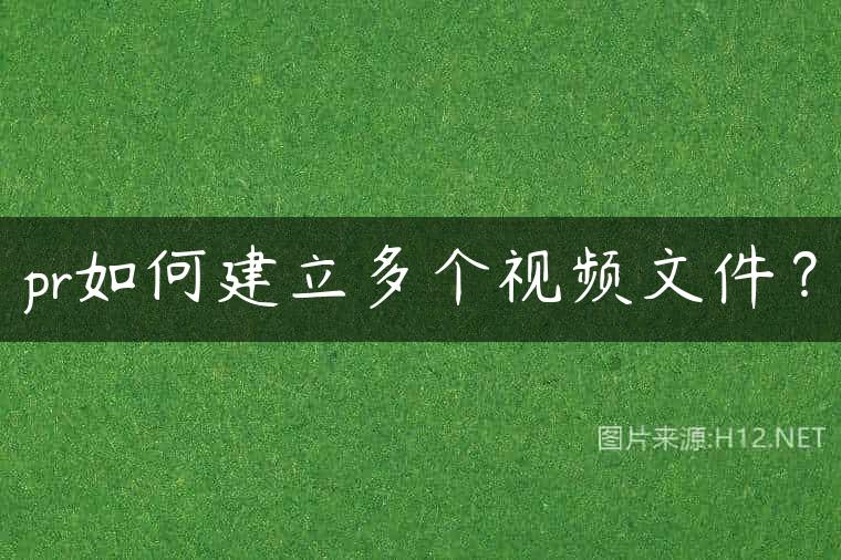 pr如何建立多个视频文件？