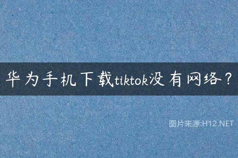 华为手机下载tiktok没有网络？